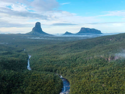 An unforgettable journey through the bowels of the Amazonas.